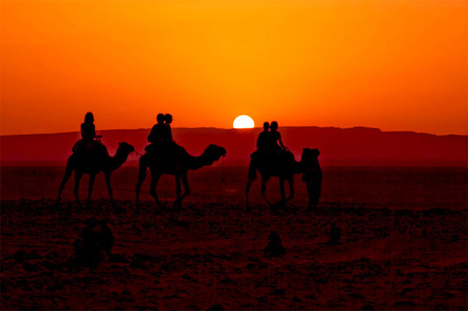 القوافل الصحراء